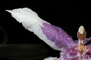 _DSC6221