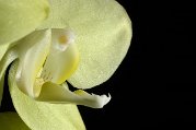 _DSC6242